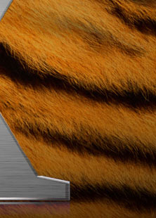 Время не стоит на месте! В январе следующего года выходит новая Mac OS X! Va-deam’s Laboratory официально объявляет о новых русских модифицированных системных файлах “Tiger”. Новые дизайнерские решения, прикладные программы и обновления безопасности сопутствуют этому релизу. Специально для Windows XP SP2 RU.